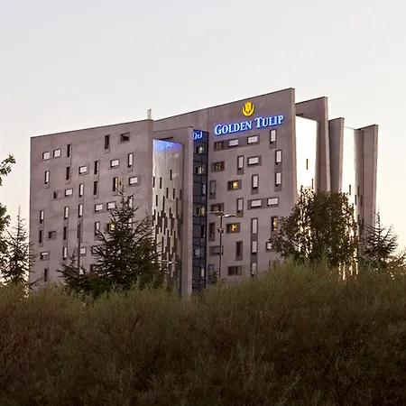 Doubletree By Hilton Lyon Eurexpo & Otel