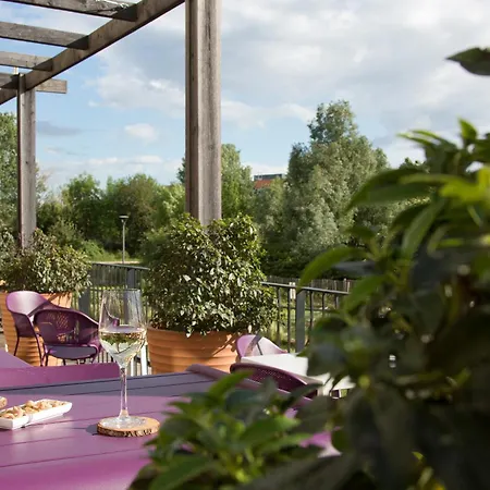 Hotel Doubletree By Hilton Lyon Eurexpo & 4*