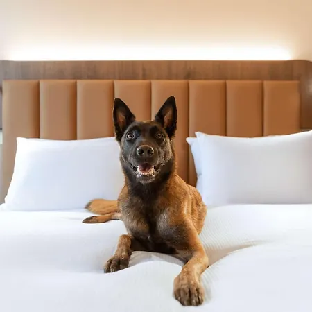 Doubletree By Hilton Lyon Eurexpo & 4*