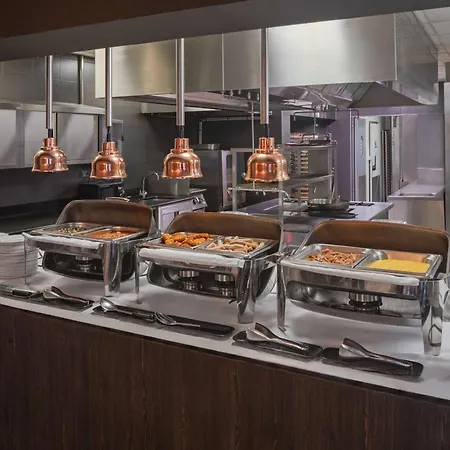 מלון Doubletree By Hilton Lyon Eurexpo &